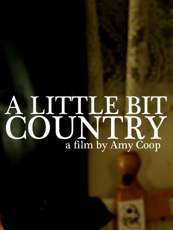Постер A Little Bit Country